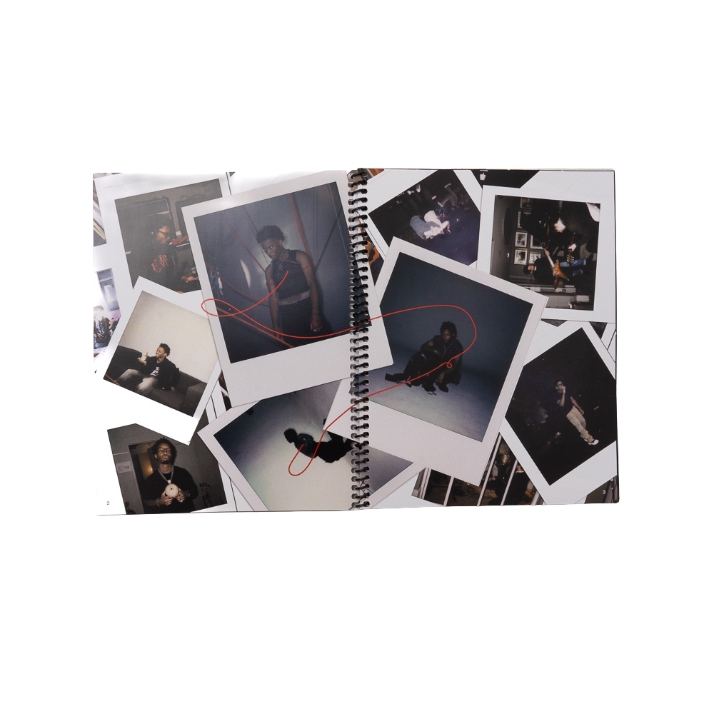 The Withered Scrapbook 12